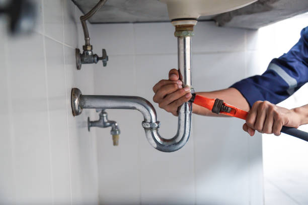 Best Local Plumber Services  in Headland, AL